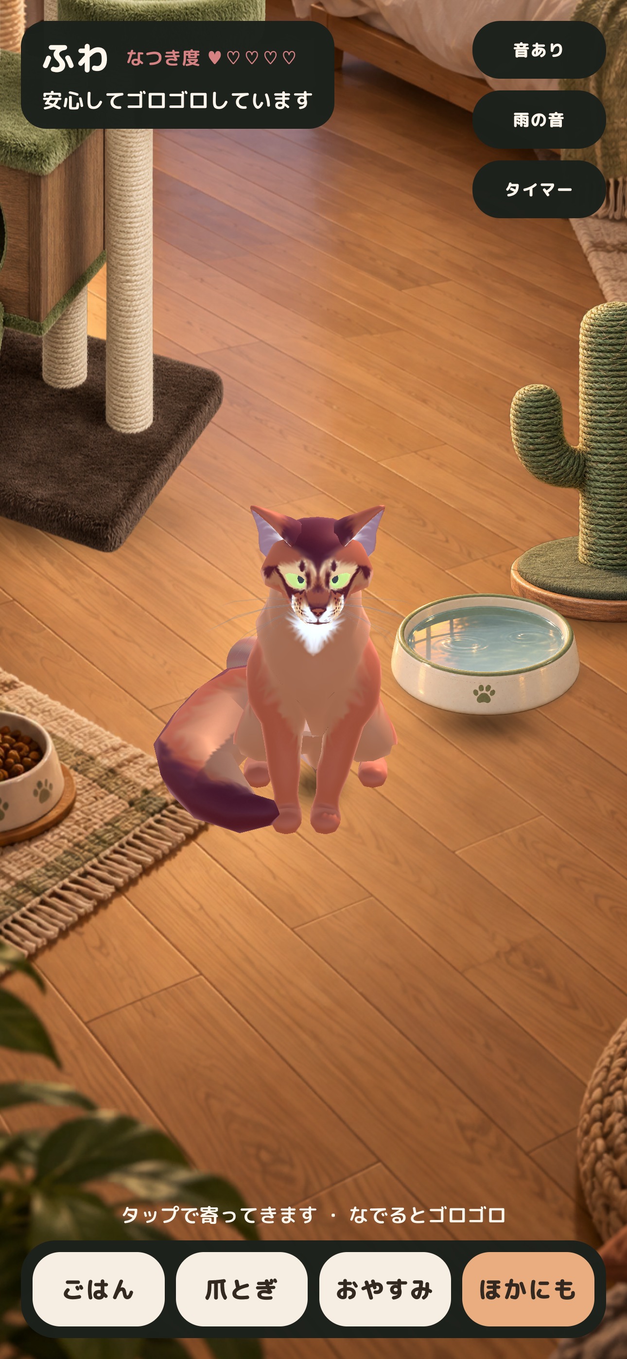 ごはんの器のそばでくつろぐ猫